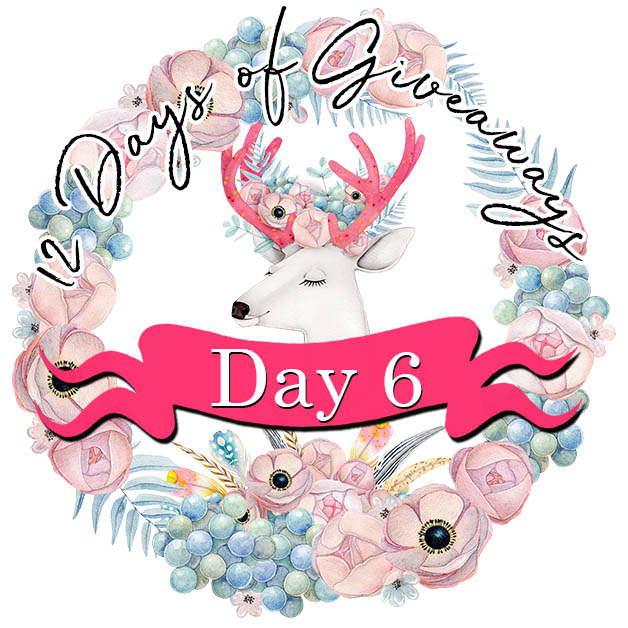 12 Days of Giveaways - Day 6 - The Misters image